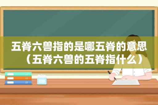 五脊六兽指的是哪五脊的意思（五脊六兽的五脊指什么）