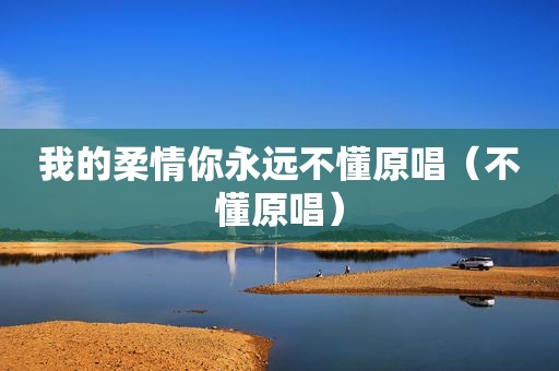我的柔情你永远不懂原唱（不懂原唱）