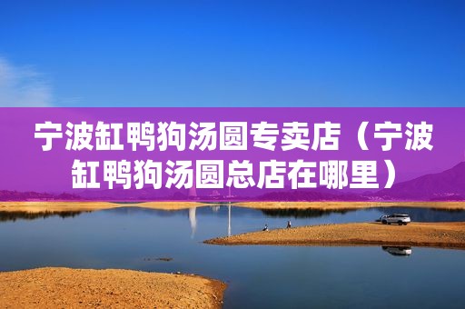 宁波缸鸭狗汤圆专卖店（宁波缸鸭狗汤圆总店在哪里）