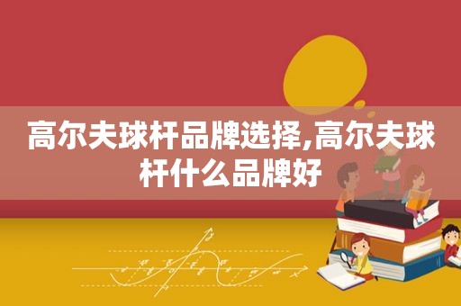 高尔夫球杆品牌选择,高尔夫球杆什么品牌好