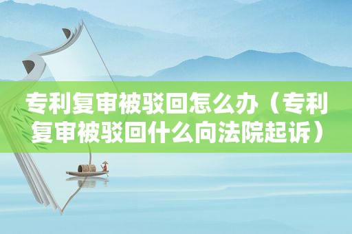 专利复审被驳回怎么办（专利复审被驳回什么向法院起诉）