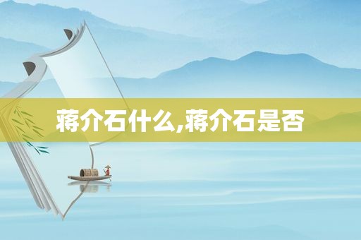 蒋介石什么,蒋介石是否