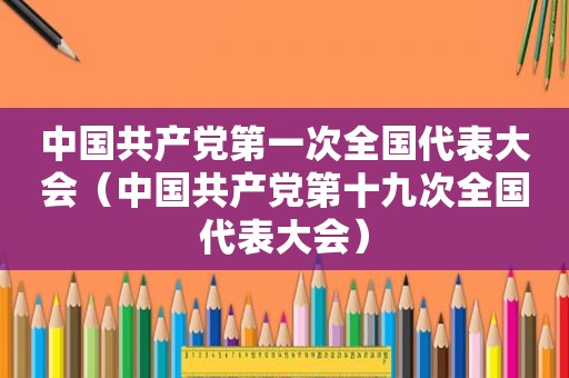 中国 *** 第一次全国代表大会（中国 *** 第十九次全国代表大会）