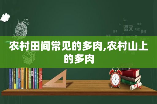 农村田间常见的多肉,农村山上的多肉