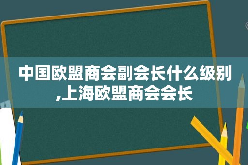 中国欧盟商会副会长什么级别,上海欧盟商会会长