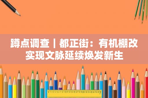 蹲点调查｜都正街：有机棚改实现文脉延续焕发新生
