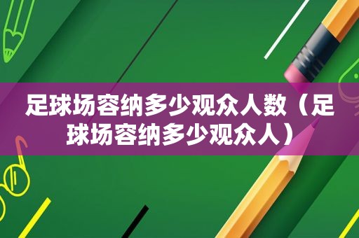 足球场容纳多少观众人数（足球场容纳多少观众人）