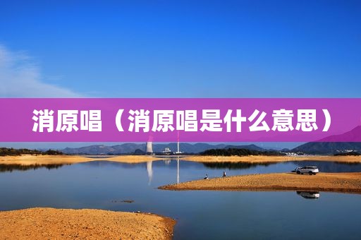 消原唱（消原唱是什么意思）