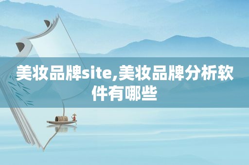 美妆品牌site,美妆品牌分析软件有哪些