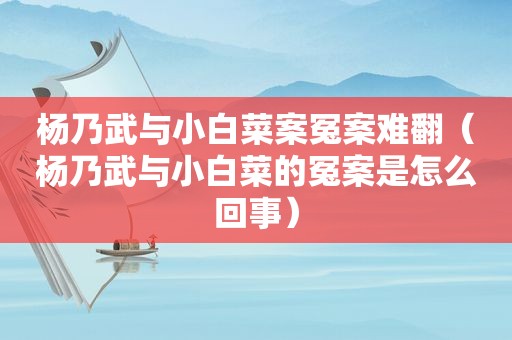 杨乃武与小白菜案冤案难翻（杨乃武与小白菜的冤案是怎么回事）