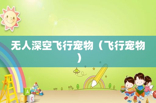 无人深空飞行宠物（飞行宠物）
