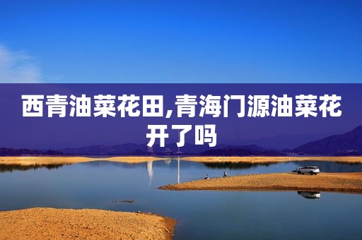 西青油菜花田,青海门源油菜花开了吗