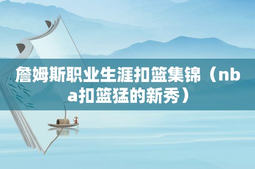 詹姆斯职业生涯扣篮集锦（nba扣篮猛的新秀）