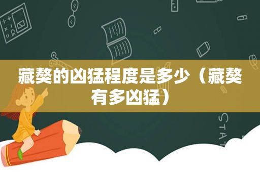 藏獒的凶猛程度是多少（藏獒有多凶猛）