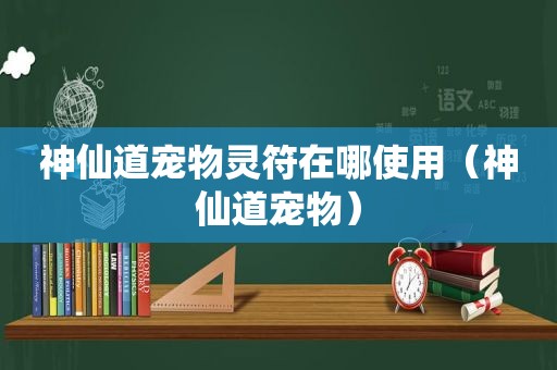 神仙道宠物灵符在哪使用（神仙道宠物）  第1张