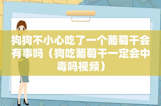 狗狗不小心吃了一个葡萄干会有事吗（狗吃葡萄干一定会中毒吗视频）