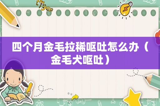四个月金毛拉稀呕吐怎么办（金毛犬呕吐）