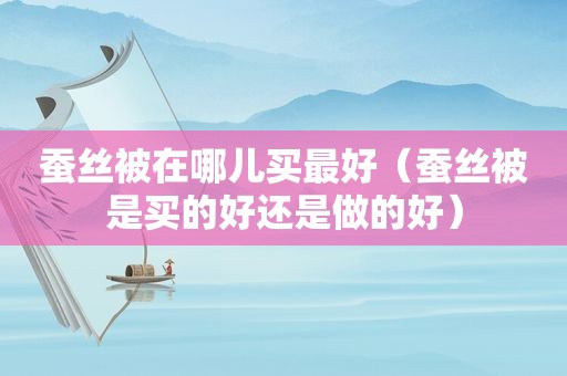 蚕丝被在哪儿买最好（蚕丝被是买的好还是做的好）
