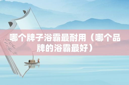 哪个牌子浴霸最耐用（哪个品牌的浴霸最好）