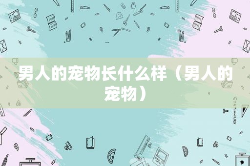男人的宠物长什么样（男人的宠物）