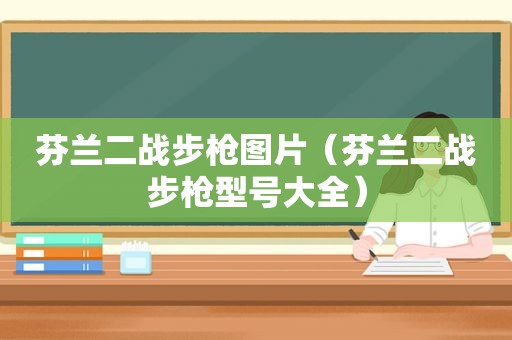 芬兰二战步枪图片（芬兰二战步枪型号大全）