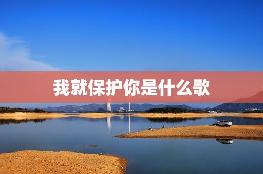 我就保护你是什么歌