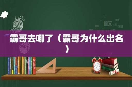 霸哥去哪了（霸哥为什么出名）