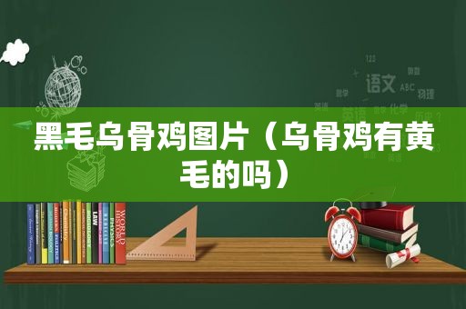 黑毛乌骨鸡图片（乌骨鸡有黄毛的吗）