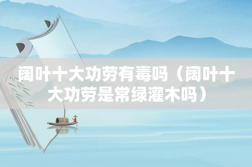阔叶十大功劳有毒吗（阔叶十大功劳是常绿灌木吗）