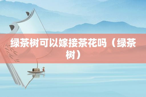 绿茶树可以嫁接茶花吗（绿茶树）