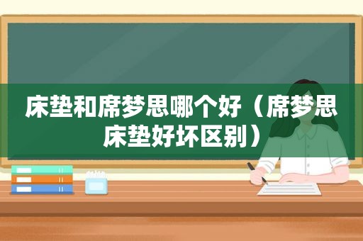床垫和席梦思哪个好（席梦思床垫好坏区别）