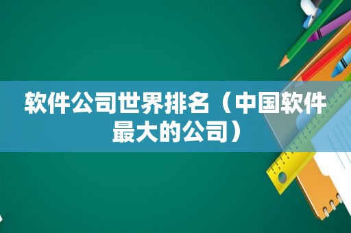 软件公司世界排名（中国软件最大的公司）