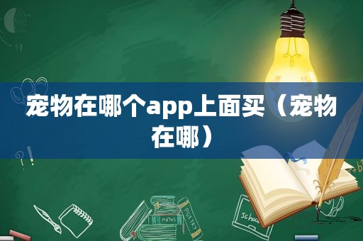 宠物在哪个app上面买（宠物在哪）