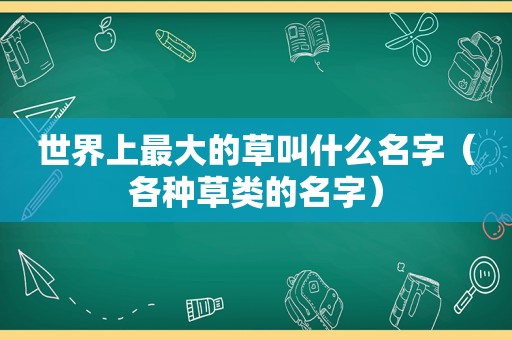 世界上最大的草叫什么名字（各种草类的名字）