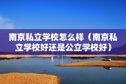 南京私立学校怎么样（南京私立学校好还是公立学校好）