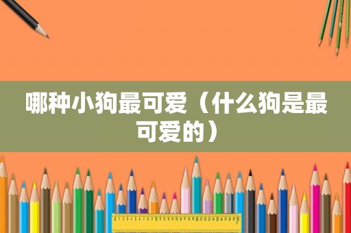 哪种小狗最可爱（什么狗是最可爱的）