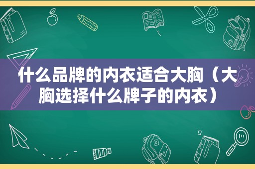 什么品牌的内衣适合大胸（大胸选择什么牌子的内衣）