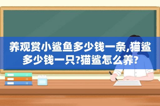 养观赏小鲨鱼多少钱一条,猫鲨多少钱一只?猫鲨怎么养?