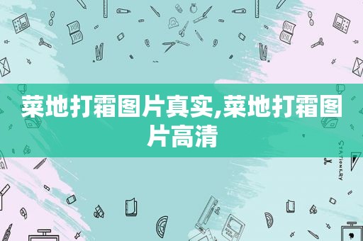 菜地打霜图片真实,菜地打霜图片高清
