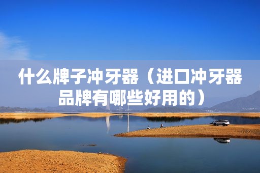 什么牌子冲牙器（进口冲牙器品牌有哪些好用的）