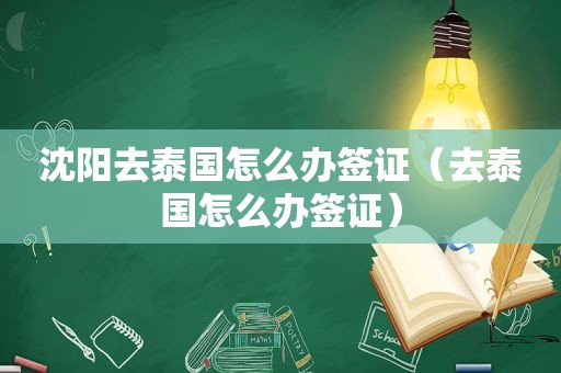 沈阳去泰国怎么办签证（去泰国怎么办签证）