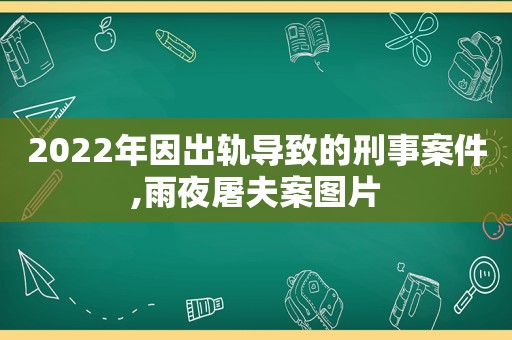 2022年因出轨导致的刑事案件,雨夜屠夫案图片