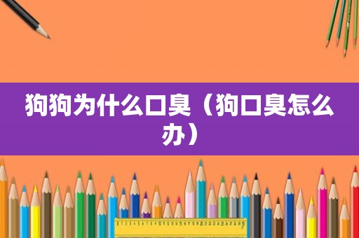 狗狗为什么口臭（狗口臭怎么办）