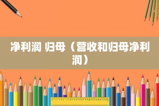净利润 归母（营收和归母净利润）