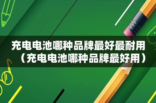 充电电池哪种品牌最好最耐用（充电电池哪种品牌最好用）