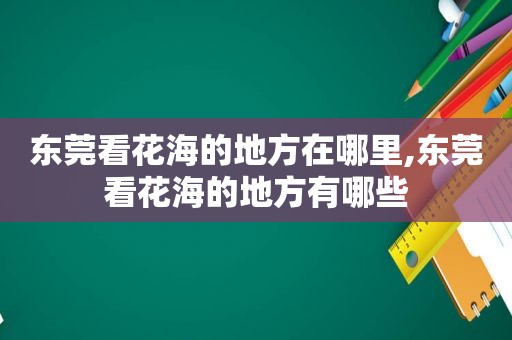 东莞看花海的地方在哪里,东莞看花海的地方有哪些