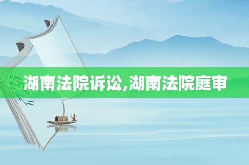 湖南法院诉讼,湖南法院庭审