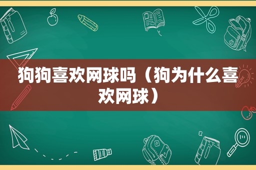 狗狗喜欢网球吗（狗为什么喜欢网球）