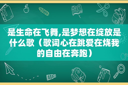 是生命在飞舞,是梦想在绽放是什么歌（歌词心在跳爱在烧我的自由在奔跑）