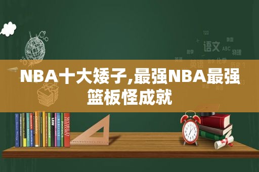 NBA十大矮子,最强NBA最强篮板怪成就